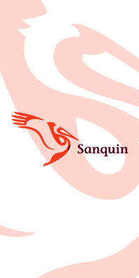 Best Practice Sanquin - Enhanced employability thanks to self-rostering